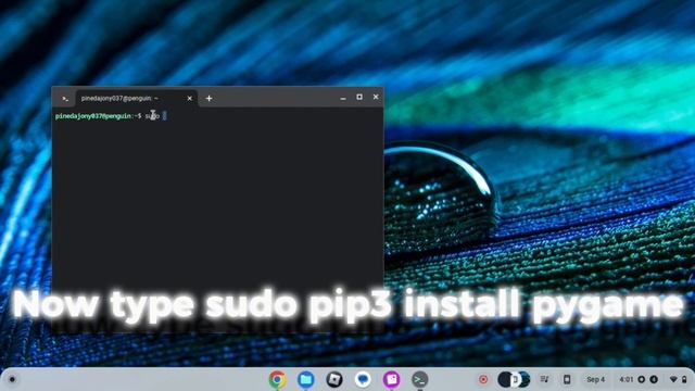 How to install pygame on chromebook (easy simple tutorial) Linux needed смотреть онлайн