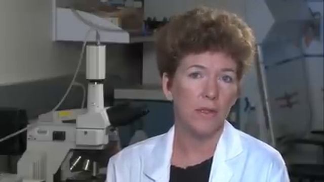 Turmeric for Inflammation: How Much is Enough? смотреть онлайн