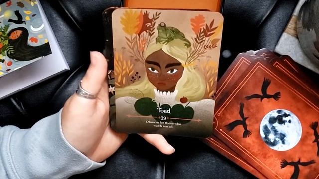 Seasons of the Witch Mabon Oracle Unboxing & Deck Interview смотреть онлайн