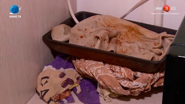 23.08.2019 Жители Дальнего остались без газовых котлов смотреть онлайн