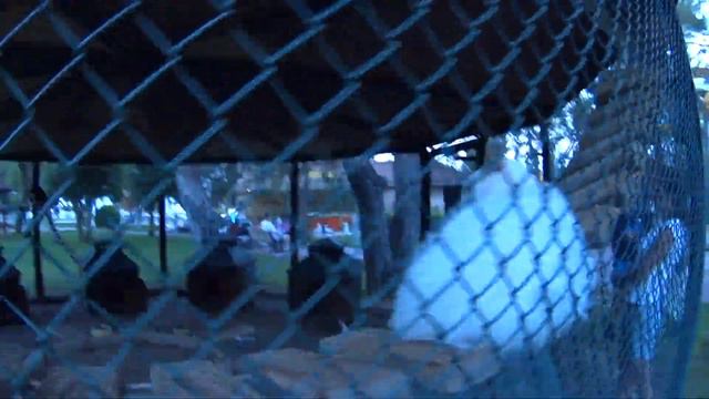 VLOG: Уехала на море смотреть онлайн