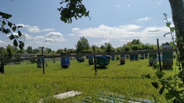Середина лета прошла подводим итоги. Пасека пчеловодство роеловство. смотреть онлайн