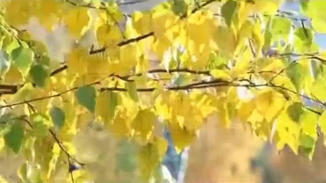 Голосуй за Тагил. Политическая реклама. смотреть онлайн