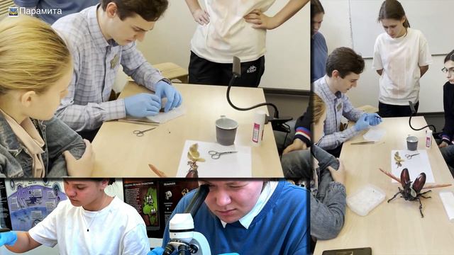 Летняя Школа по Биологии в ОЦ "Парамита" смотреть онлайн