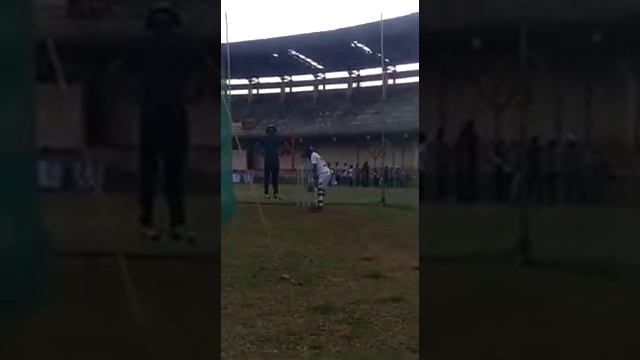 Little champion смотреть онлайн