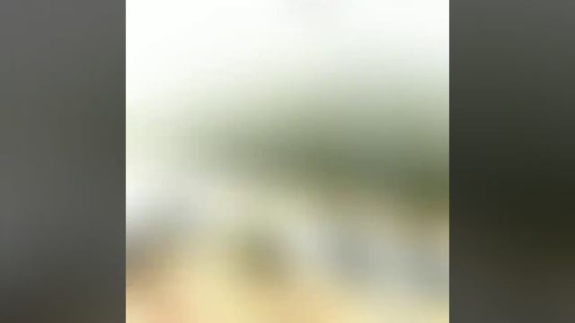 #Свиноуйсьце / #Świnoujście 2019 Рыбалка прямо с пирса. смотреть онлайн