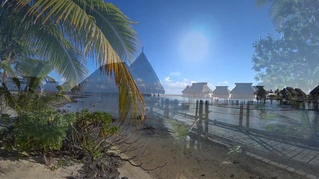 Tikehau - Pearl Beach Resort - Beach Pool Villa смотреть онлайн