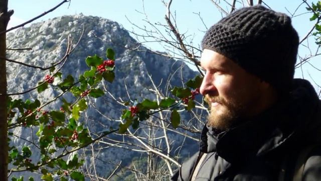 "Тихие Заповеди" (сл.Инока Всеволода(Филипьева), муз. О.Лагуткина) - песня Олега Лагуткина смотреть онлайн