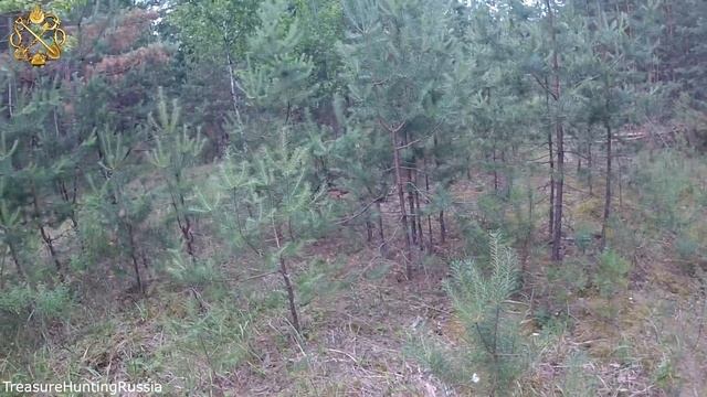 У КОПАТЕЛЕЙ ВСТАЮТ ВОЛОСЫ ДЫБОМ ВО ВСЕХ МЕСТАХ, КОГДА ОНИ ВИДЯТ, КАК Я ЗАРАБАТЫВАЮ! смотреть онлайн