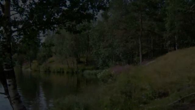 Заполярная цыганочка ( Из цикла "Песни-гибридки") смотреть онлайн