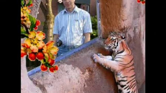 С днём рожденья МИЛЫЙ!!! смотреть онлайн