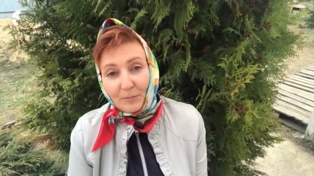 5 апреля День Птиц Календарь праздников Рита Некрасова смотреть онлайн