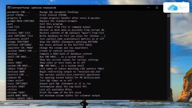 How to Install SQLite on Windows 10, 11, 2016, 2019, 2022 (SQLite3) смотреть онлайн