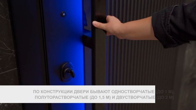Входные двери: обзор современных моделей смотреть онлайн