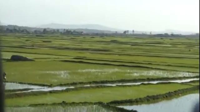 Антананариву Из аэропорта Рисовые поля смотреть онлайн