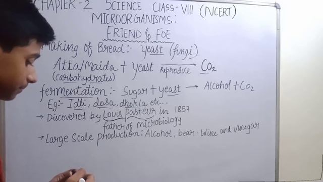 where the microbes live?and usefull microorganisms Class8th science chapter 2 part-3 смотреть онлайн