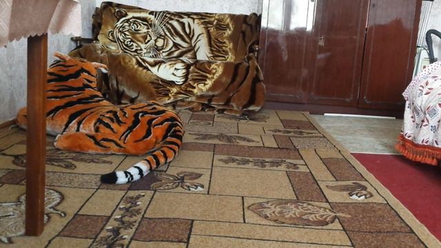 Когда хозяев нету дома Милли в отрыве смотреть онлайн