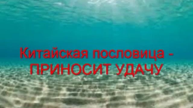 Китайские пословицы смотреть онлайн