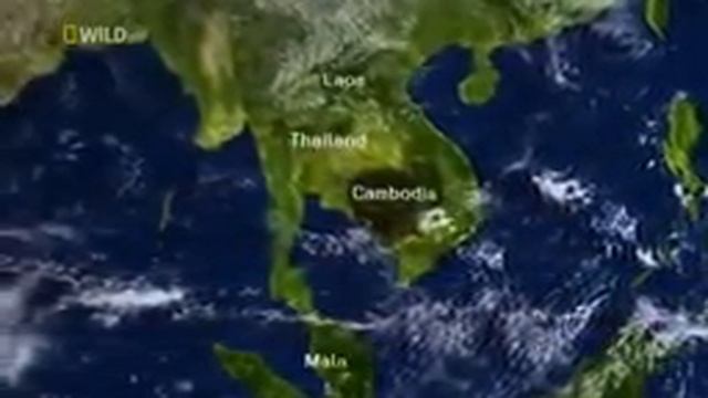 Дикий Тайланд Бангкок ночная жизнь ,Скрытая от глаз природа Таиланда смотреть онлайн
