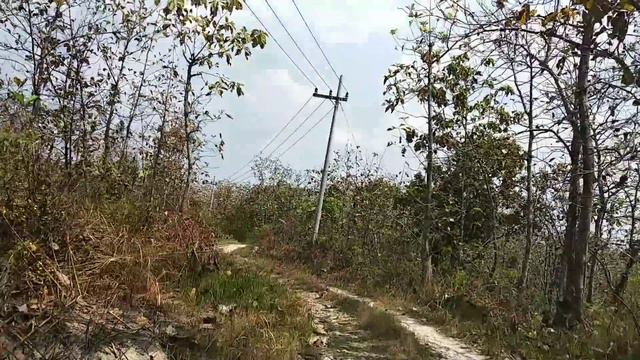 Kampung di Tengah Hutan смотреть онлайн