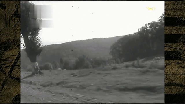 Олександр Таранець - Пісня водія смотреть онлайн