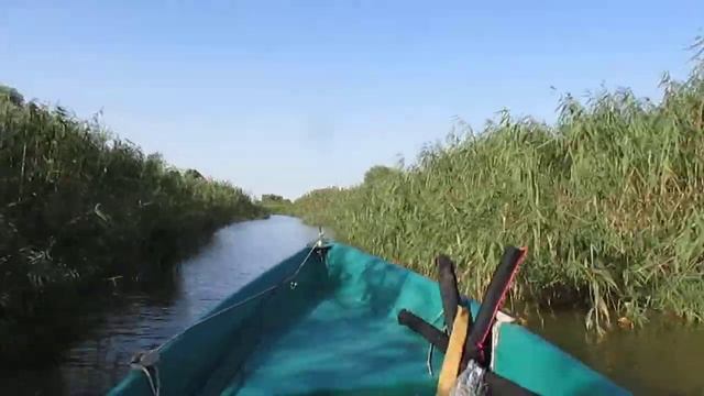 Выход в РЕКУ Бакланья из Цаплинской жилки 2017 год | Путешествия по дельте | Рыбалка в Мумре смотреть онлайн