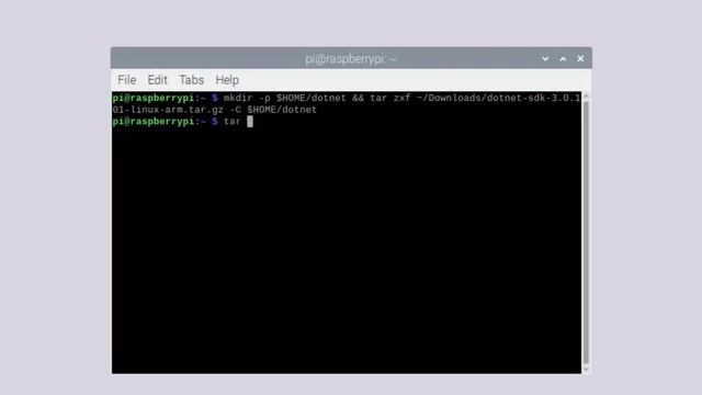 Install .NET Core SDK & ASP.NET Core On Raspberry Pi 4 смотреть онлайн