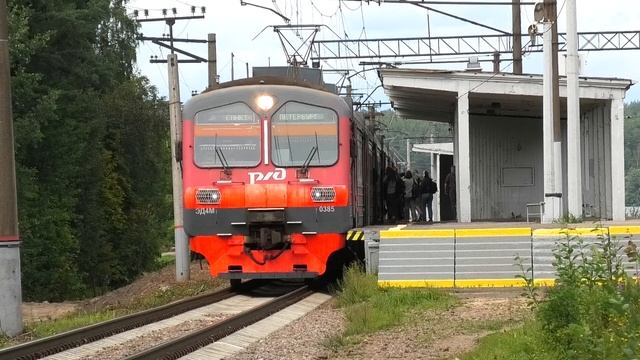 ЭД4М-0385 сообщением Васкелово — Санкт-Петербург следует с остановкой на о.п. Кавголово