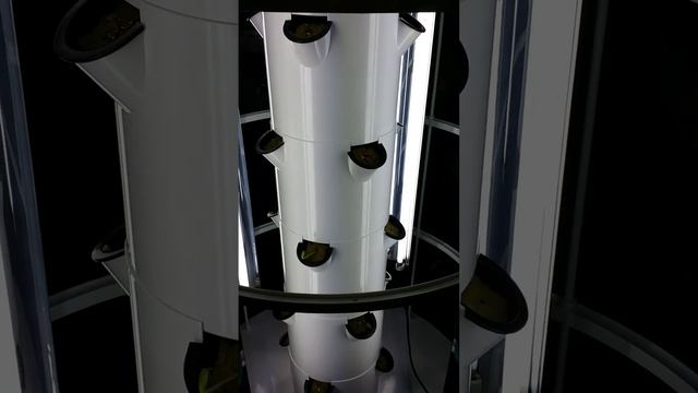 Tower Garden by Juice Plus Day 1 смотреть онлайн