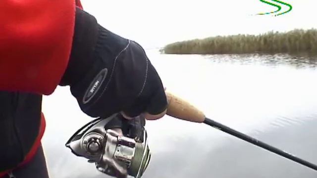 Daiwa X Cross Morethan Animation