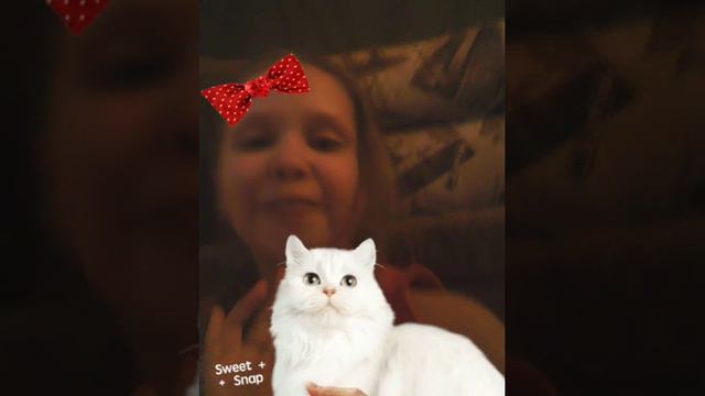 ЖЖивотные все номера кошки жираф ещё кто I like смотреть онлайн