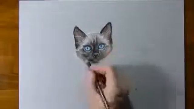 Как нарисовать 3D Кошку смотреть онлайн