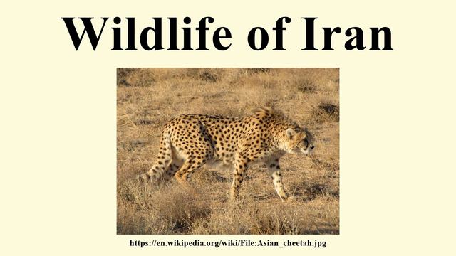 Wildlife of Iran смотреть онлайн