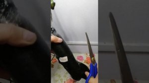 Что, сделать с саженцами роз, после покупки.