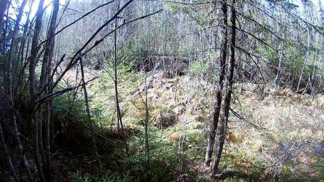 Металлолом в лесу. Что искал то и нашел! смотреть онлайн