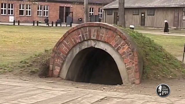 La Shoah, fare memoria perché? (Dritto al Cuore 23 Gennaio 2022) смотреть онлайн