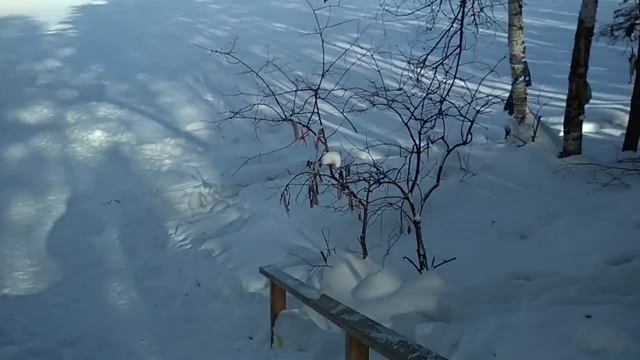 БАЙКАЛ // У-У ВЛОГ смотреть онлайн