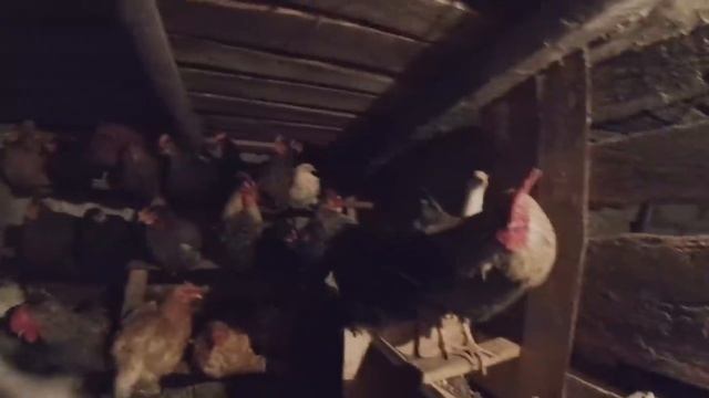 Со счетчиком все сложно.. Пойду на обучение Бандеролька от зрительницы смотреть онлайн