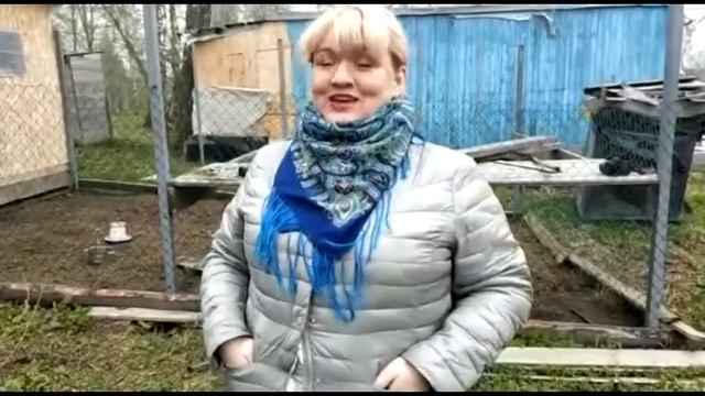 Приветствуем! смотреть онлайн