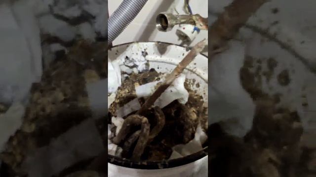 Замена тэна и чистка водонагревателя. смотреть онлайн