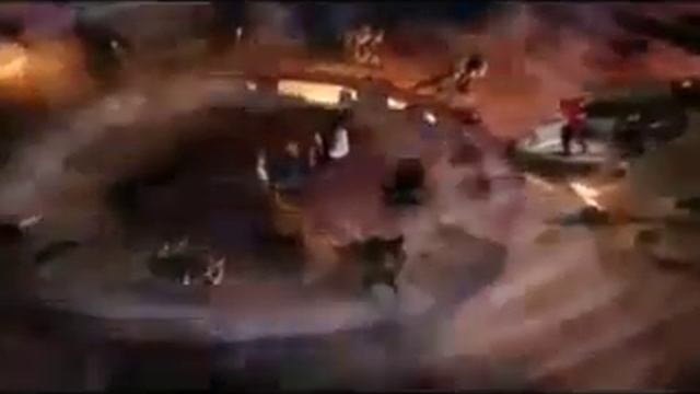 Blaze The Cat. Блейз кошка. Tikal The Echidna. Тикал ехидна