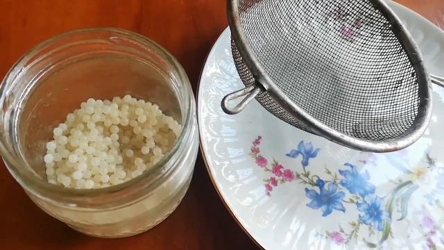 Икра улитки, первая дегустация | Улиточная ферма Royal Snail |