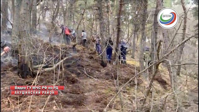 В Акушинском районе 2-е сутки горит лес смотреть онлайн