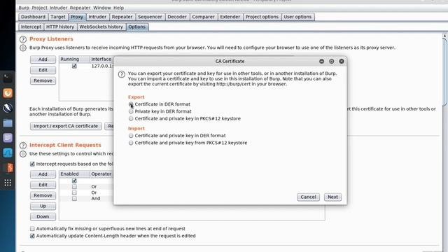 Burp Suite 2: Adding Burps Certificate to Firefox смотреть онлайн