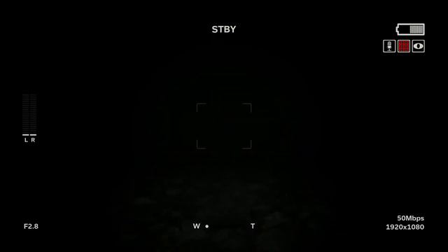 Страшный момент в Outlast 2 #12 (Filter Blur) смотреть онлайн