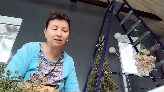 19 сентября 2022г. ЗАЧЕМ НАМ МНОГО СЕМЯН ПЕТРУШКИ непогода смотреть онлайн