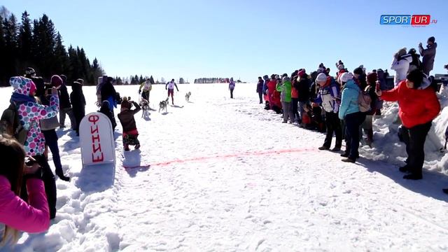 Спорт Удмуртии. 14 марта: гонки на собаках смотреть онлайн