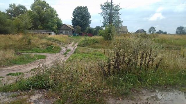 Радутино. Остров позора! смотреть онлайн