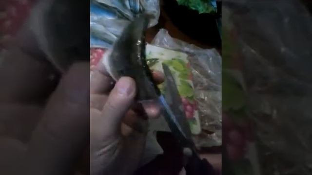 Быстрое и оптимальное снятие шкуры с окуня! смотреть онлайн