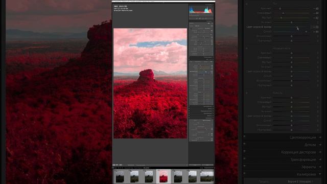 Секреты Лайтрум за 15 секунд / Secrets of Lightroom in 15 seconds / Обработка фото в Lightroom смотреть онлайн